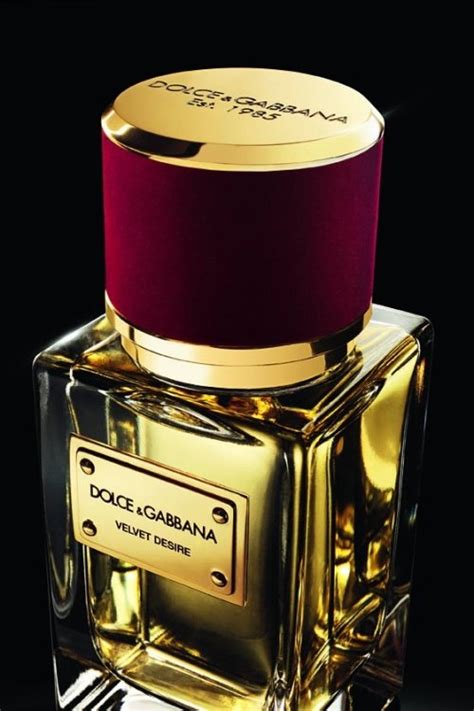 caravan dolce gabbana|dolce and gabbana velvet.